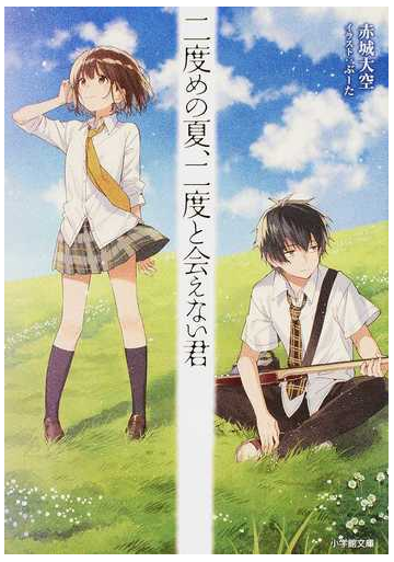 二度めの夏 二度と会えない君の通販 赤城大空 小学館文庫 紙の本 Honto本の通販ストア