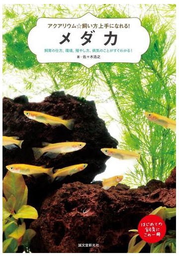 メダカ 飼育の仕方 環境 殖やし方 病気のことがすぐわかる の通販 佐々木浩之 紙の本 Honto本の通販ストア