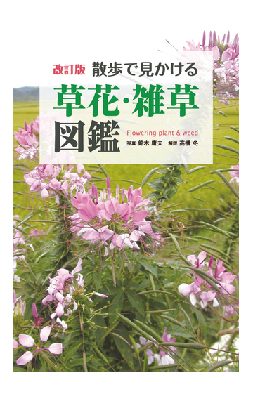 散歩で見かける草花 雑草図鑑 改訂版の通販 鈴木 庸夫 高橋 冬 紙の本 Honto本の通販ストア