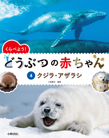 くらべよう どうぶつの赤ちゃん ４ クジラ アザラシの通販 小宮 輝之 紙の本 Honto本の通販ストア