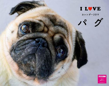 I Loveパグカレンダー19の通販 紙の本 Honto本の通販ストア