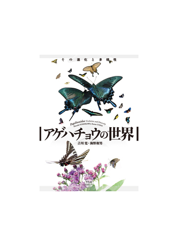 アゲハチョウの世界 その進化と多様性の通販 吉川寛 海野和男 紙の本 Honto本の通販ストア