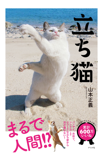 立ち猫 まるで人間 ユニークな立ち姿から目が離せない の通販 山本 正義 紙の本 Honto本の通販ストア