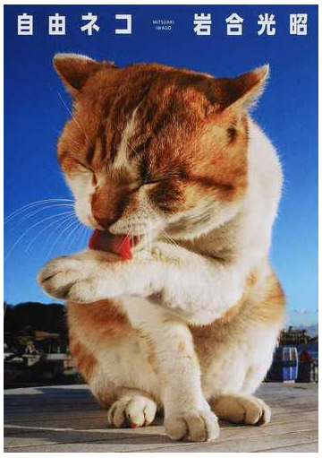 摩擦 換気する フェードアウト 岩合 猫 写真 Safeat1776 Com