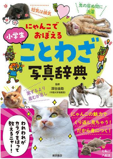 にゃんこでおぼえる小学生ことわざ写真辞典の通販 深谷 圭助 紙の本 Honto本の通販ストア