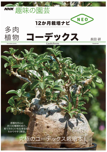 多肉植物コーデックスの通販 長田研 紙の本 Honto本の通販ストア