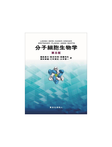 分子細胞生物学 第８版の通販 ｌｏｄｉｓｈ 榎森 康文 紙の本 Honto本の通販ストア