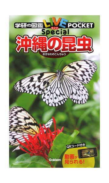 沖縄の昆虫の通販 槐真史 紙の本 Honto本の通販ストア