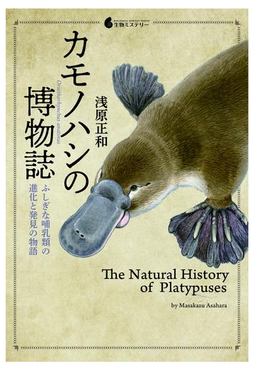 カモノハシの博物誌 ふしぎな哺乳類の進化と発見の物語の通販 浅原 正和 紙の本 Honto本の通販ストア