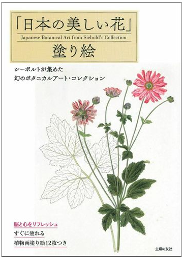 日本の美しい花 塗り絵 シーボルトが集めた幻のボタニカルアート コレクションの通販 主婦の友社 紙の本 Honto本の通販ストア