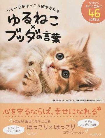 つらい心がほっこり癒やされるゆるねこ ブッダの言葉 今日から幸せにニャる４６の教えの通販 アルボムッレ スマナサーラ 小川晃代 紙の本 Honto本の通販ストア