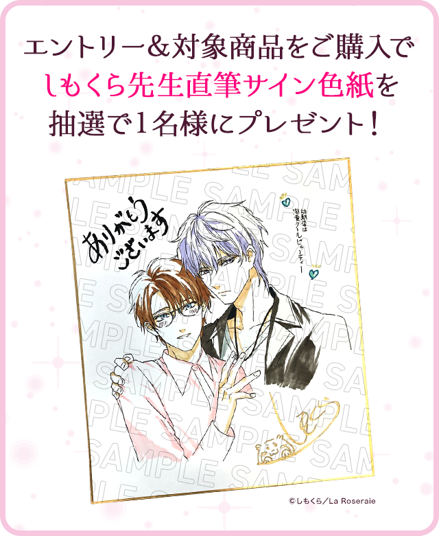 あいのすけさま 【2/1】プレゼントS デザインB