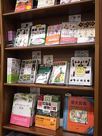 魔女の薬箱～薬草・ハーブ・漢方etc～