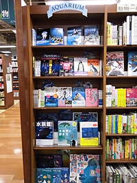 アクアリウムフェア