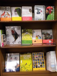 2017年新春!酉年フェア