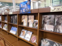 夏の生物図鑑フェア