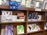 夏の生物図鑑フェア