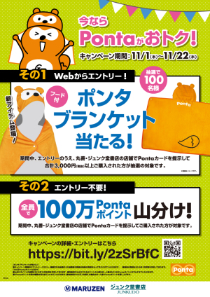 ポンタブランケットプレゼント・100万Pontaポイント山分け【今ならPontaがおトク！】