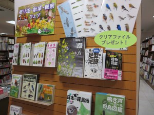 生き物を知るともっと楽しい！身近な自然「寄り道・散策・観察フェア」