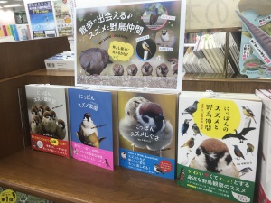 【ちゅんちゅん】”散歩で出会える♪スズメと野鳥仲間”ミニフェア