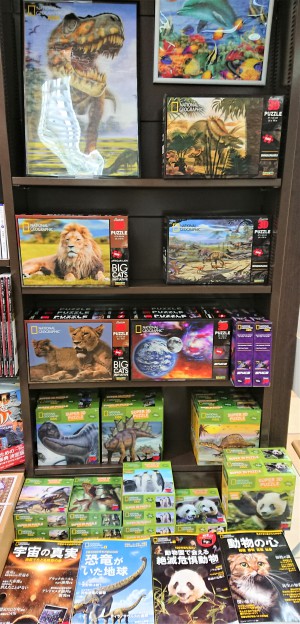 ナショナルジオグラフィック3Dパズルの販売を開始いたしました！