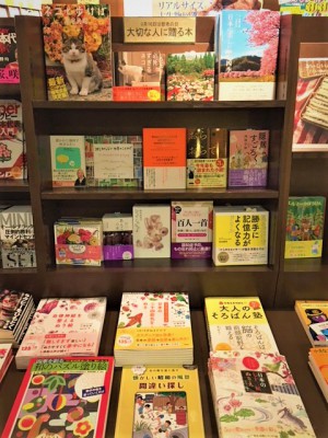 9月16日は敬老の日　大切な人に贈る本フェア