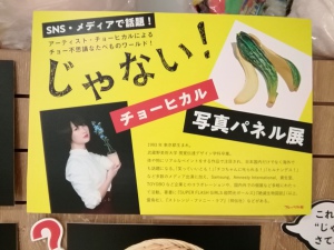 『じゃない！』パネル展