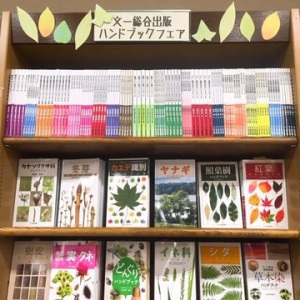 【秋の散歩のおともに！】文一総合出版ハンドブックフェア