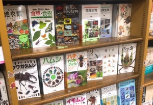 【秋の散歩のおともに！】文一総合出版ハンドブックフェア