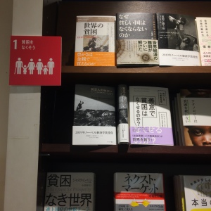 ブックフェア   SDGｓ　2030年「誰一人として取り残さない」世界は可能か