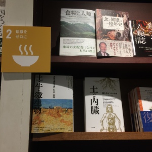 ブックフェア   SDGｓ　2030年「誰一人として取り残さない」世界は可能か
