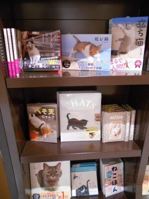 【２月２２日はねこの日！】「にゃんにゃんにゃん　ねこの日フェア」開催中です！