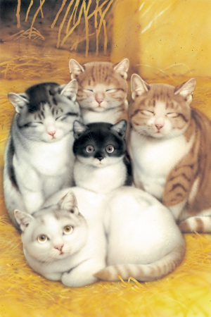 犬猫イラスト40周年記念 村松誠 版画展