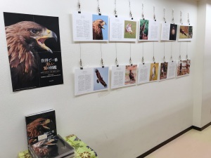 「世界で一番美しい鷲の図鑑」刊行記念パネル展