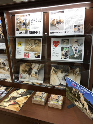 『がくこ』パネル展