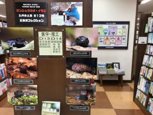 『特盛山椒魚本』（NPO法人北九州・魚部）発売記念　サンショウウオパネル展