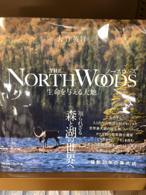 大竹英洋『THE NORTH WOODS　生命を与える大地』パネル展