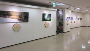 大竹英洋写真展「ノースウッズ　生命を与える大地」開催中