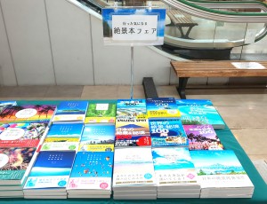 【行った気になる】絶景本フェア