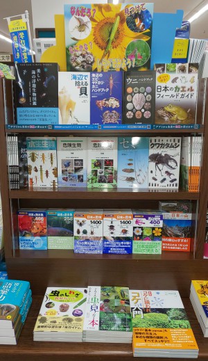 文一総合出版　夏のおすすめミニフェア