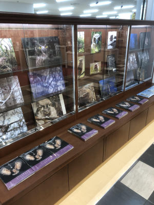 写真・文 前川貴行『しまふくろうの森』パネル展