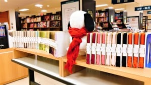 【いまばりマフラー】フェア