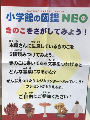 本屋さんできのこを探そう