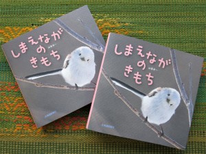 フワフワもふもふ「雪の妖精」シマエナガ。野鳥界のアイドルがギャラリー・ジュンクに登場！