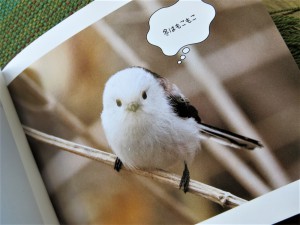 フワフワもふもふ「雪の妖精」シマエナガ。野鳥界のアイドルがギャラリー・ジュンクに登場！