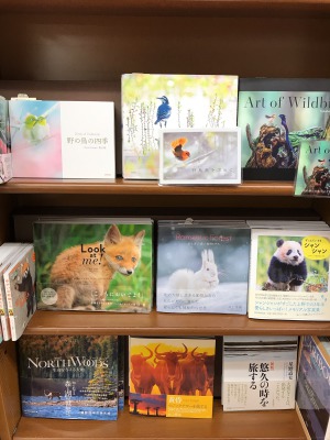 【プレゼントにピッタリ】写真集フェア