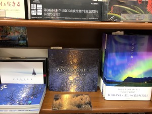 【プレゼントにピッタリ】写真集フェア