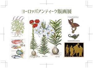 ヨーロッパアンティーク版画展