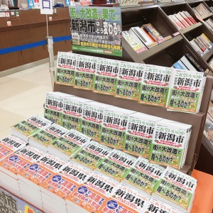 『これでいいのか 新潟県新潟市』発売されました！