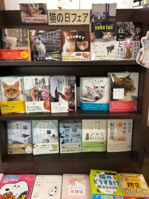 猫の日フェア
